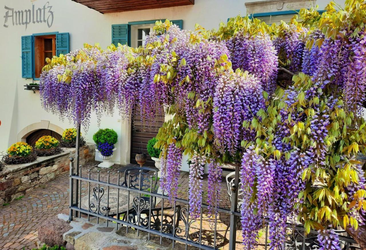 Amplatz 1523 - B&B And Suites มอนตาญา ภายนอก รูปภาพ