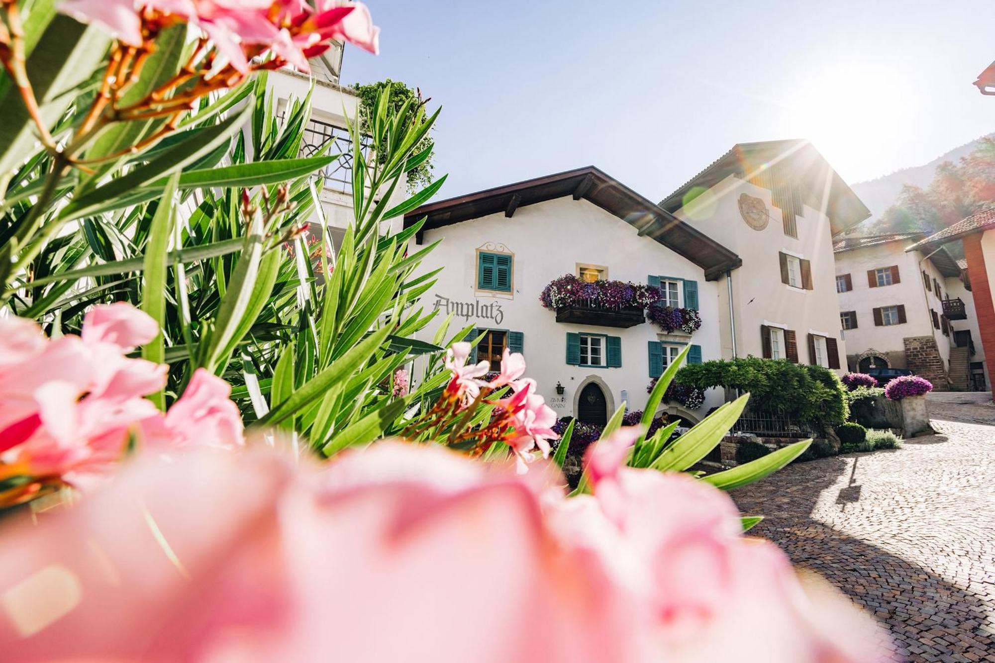 Amplatz 1523 - B&B And Suites มอนตาญา ภายนอก รูปภาพ